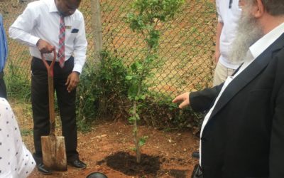 Celebration of Tu B’Shevat (The New Year of Trees)