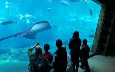 Excursion to uShaka