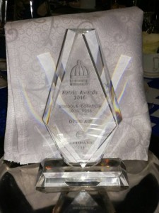 mayors awards 2